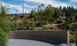 Real image from UBC Botanical Garden and Centre for Plant Research  (UBC)