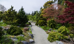 Real image from VanDusen Botanical Garden