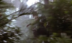Movie image from Jungle