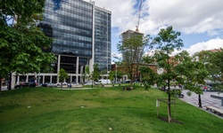 Real image from Berczy Park