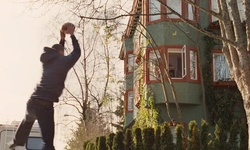 Movie image from Apartamento da Dana