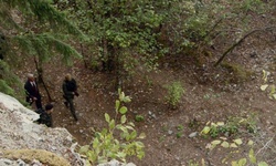 Movie image from Каменоломня Гиллис