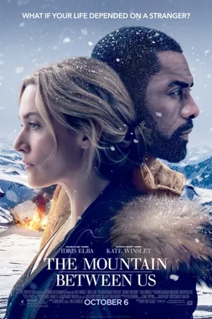 Poster The Mountain Between Us 2017