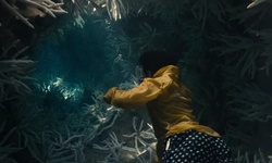 Movie image from Coral reef near the beach