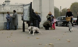 Movie image from St. James's Park