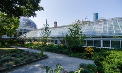 Real image from Allan Gardens