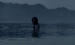 Movie image from Bahía de Wilson