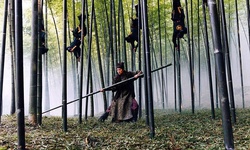 Movie image from Bosque de bambú de la Montaña del Té