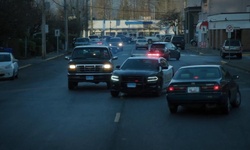 Movie image from McIntosh Avenue (entre 223 e 224)