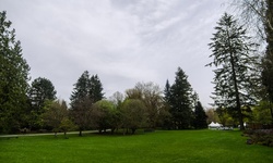 Real image from VanDusen Botanical Garden