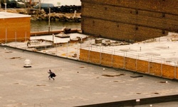 Movie image from Running across Roof