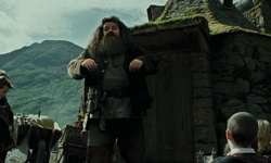 Movie image from Hagrid's Hut