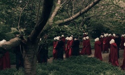 Movie image from Парк Коронации