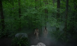 Movie image from Green Timbers Urban Forest