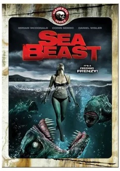Poster Sea Attack 2008