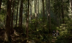 Movie image from Twin Falls (Parque Lynn Canyon)