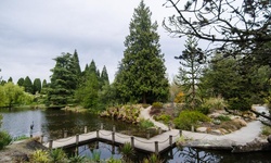 Real image from VanDusen Botanical Garden