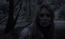 Movie image from Forest