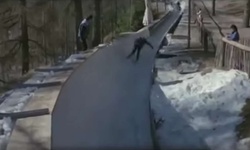 Movie image from Олимпийская трасса Эудженио Монти