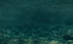 Movie image from Arrecife de coral cerca de la playa