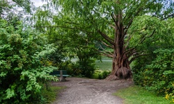 Real image from Hillside Gardens  (High Park)