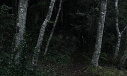 Movie image from Bahía de Minaty