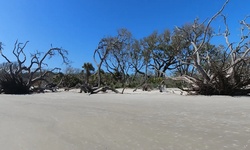 Real image from The beach on the Island