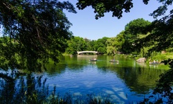 Real image from Puente Bow (Central Park)