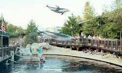 Movie image from Aqua World Aquarium