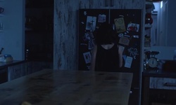 Movie image from Laura & Carmilla's Apartment