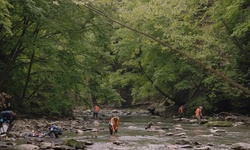 Movie image from Forest