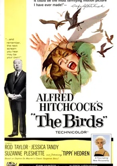 Poster Os Pássaros 1963