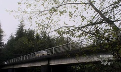 Movie image from Spur 4 Bridge  (LSCR)