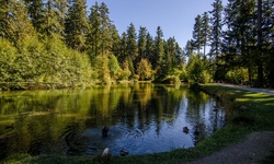 Real image from Burnaby Central Park