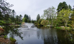 Real image from VanDusen Botanical Garden
