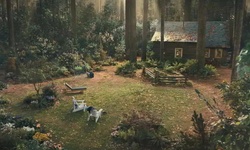 Movie image from Cabine na floresta