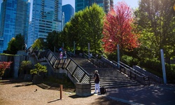 Real image from Seawall Stairs