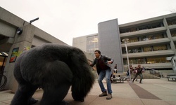 Movie image from Burnaby City Hall