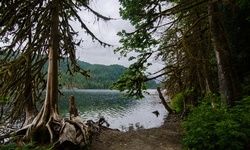 Real image from Buntzen Lake