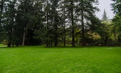 Real image from VanDusen Botanical Garden