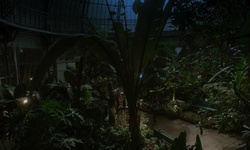 Movie image from Allan Gardens