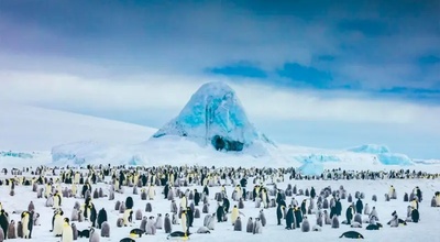 Image La beauté des films tournés en Antarctique