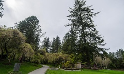 Real image from VanDusen Botanical Garden