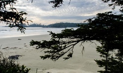Real image from Incinerator Rock  (Pacific Rim National Park)