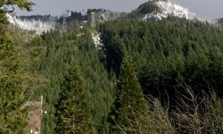 Real image from Гондола Grouse Mountain