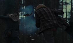 Movie image from Lakeside Woods