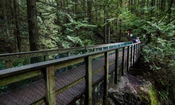 Real image from Twin Falls (Lynn Canyon Park)