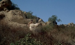 Movie image from Bell Ranch