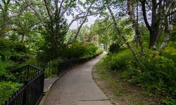 Real image from Hillside Gardens  (High Park)