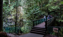 Real image from Twin Falls  (Lynn Canyon Park)